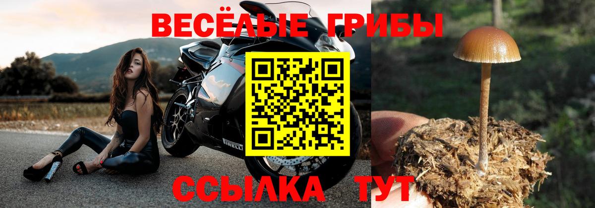 Первоуральск  дарнет шоп  Вход с VPN  Галлюциногенные грибы Magic Shrooms  Псилоцибиновые грибы мухоморы 
